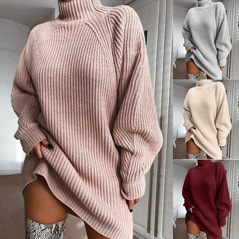 Turtleneck Long Sweater