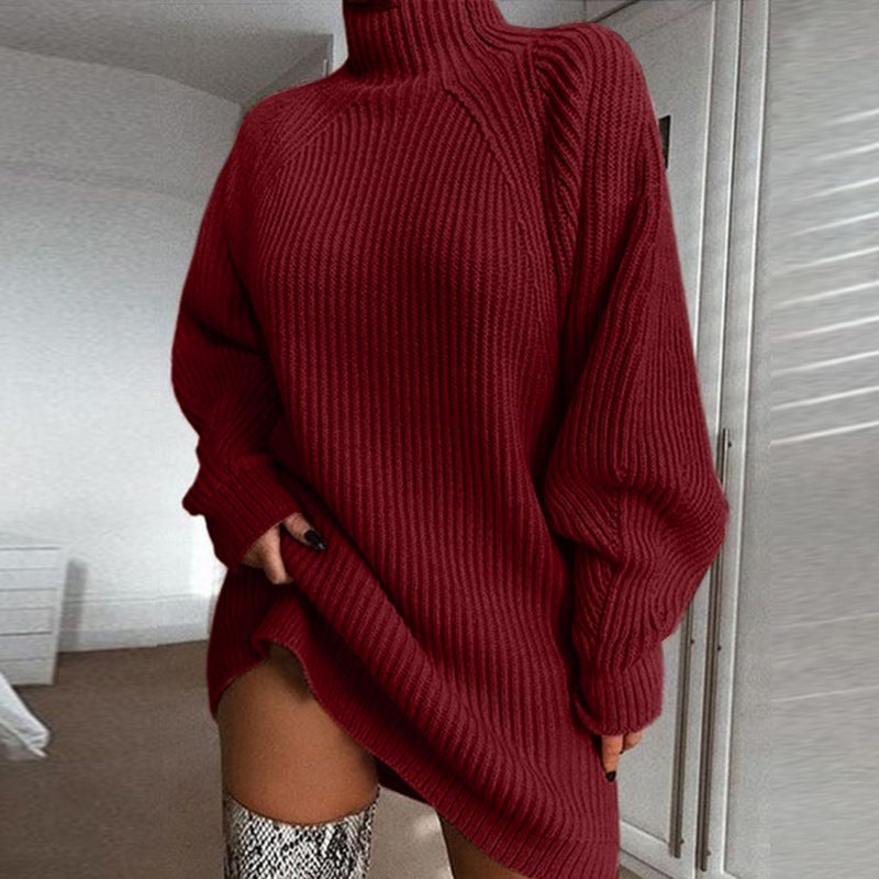 Turtleneck Long Sweater