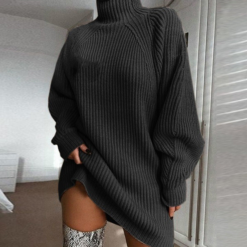 Turtleneck Long Sweater
