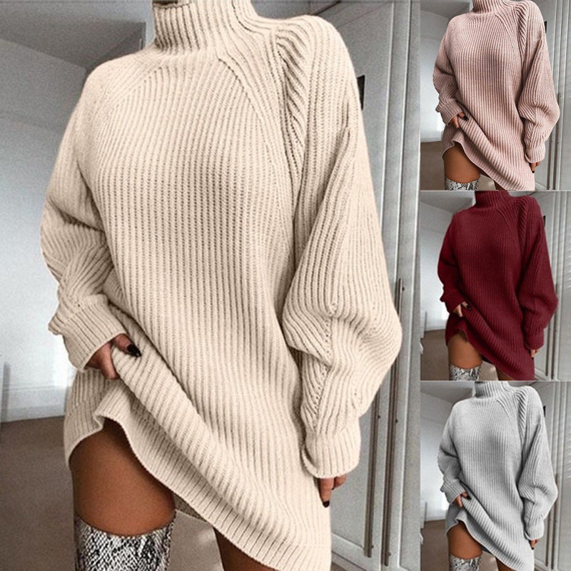 Turtleneck Long Sweater