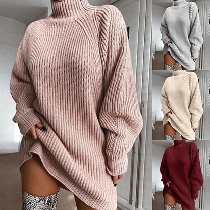Turtleneck Long Sweater