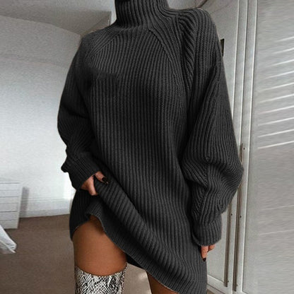 Turtleneck Long Sweater