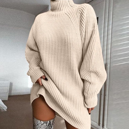 Turtleneck Long Sweater